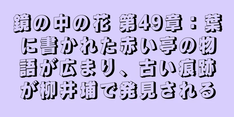 鏡の中の花 第49章：葉に書かれた赤い亭の物語が広まり、古い痕跡が柳井埔で発見される