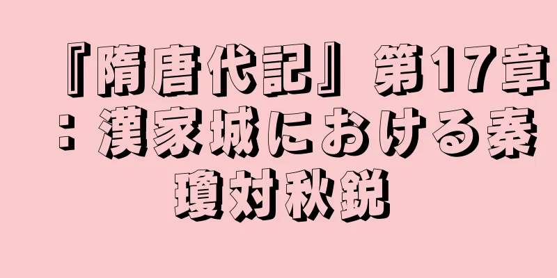 『隋唐代記』第17章：漢家城における秦瓊対秋鋭