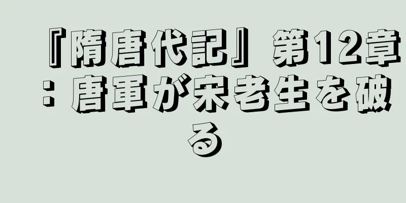 『隋唐代記』第12章：唐軍が宋老生を破る