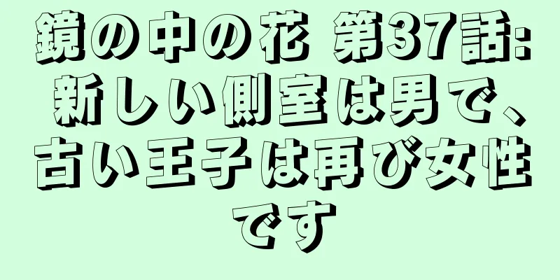 鏡の中の花 第37話: 新しい側室は男で、古い王子は再び女性です