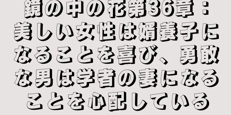 鏡の中の花第36章：美しい女性は婿養子になることを喜び、勇敢な男は学者の妻になることを心配している