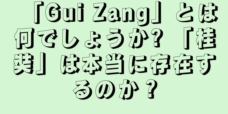 「Gui Zang」とは何でしょうか? 「桂奘」は本当に存在するのか？