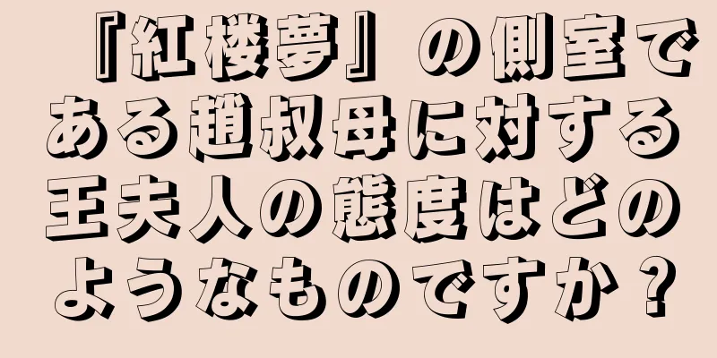 『紅楼夢』の側室である趙叔母に対する王夫人の態度はどのようなものですか？
