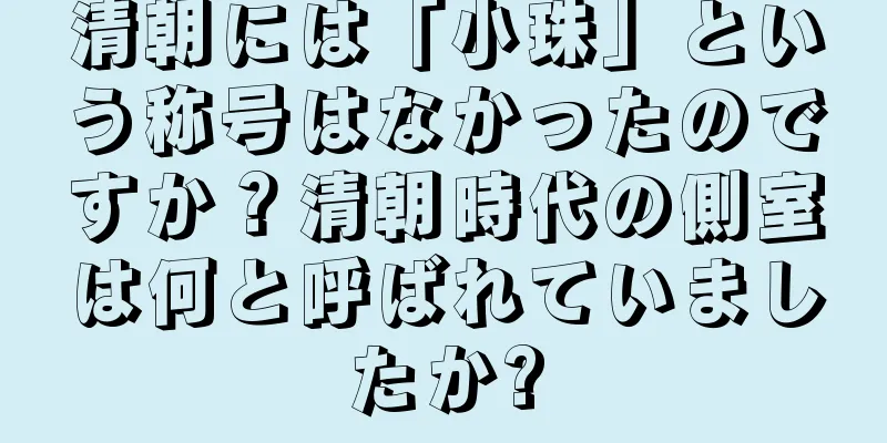清朝には「小珠」という称号はなかったのですか？清朝時代の側室は何と呼ばれていましたか?