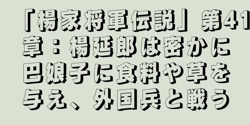 「楊家将軍伝説」第41章：楊延郎は密かに巴娘子に食料や草を与え、外国兵と戦う