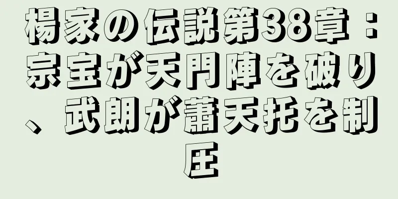 楊家の伝説第38章：宗宝が天門陣を破り、武朗が蕭天托を制圧