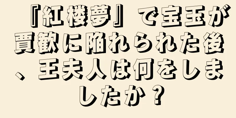 『紅楼夢』で宝玉が賈歓に陥れられた後、王夫人は何をしましたか？