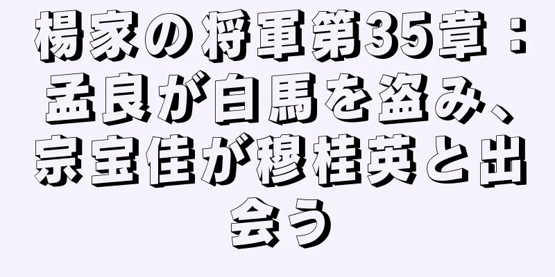 楊家の将軍第35章：孟良が白馬を盗み、宗宝佳が穆桂英と出会う