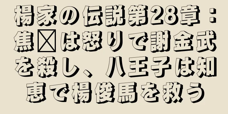楊家の伝説第28章：焦瓚は怒りで謝金武を殺し、八王子は知恵で楊俊馬を救う