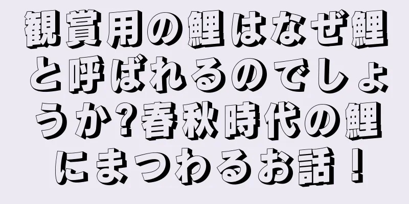 観賞用の鯉はなぜ鯉と呼ばれるのでしょうか?春秋時代の鯉にまつわるお話！