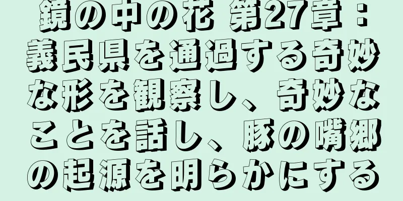 鏡の中の花 第27章：義民県を通過する奇妙な形を観察し、奇妙なことを話し、豚の嘴郷の起源を明らかにする