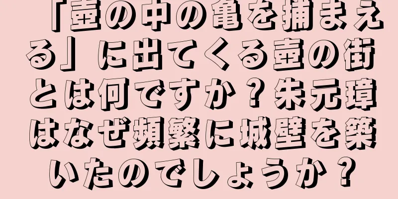 「壺の中の亀を捕まえる」に出てくる壺の街とは何ですか？朱元璋はなぜ頻繁に城壁を築いたのでしょうか？