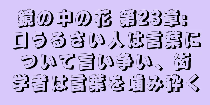 鏡の中の花 第23章: 口うるさい人は言葉について言い争い、衒学者は言葉を噛み砕く