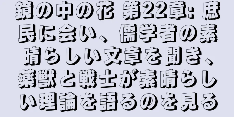 鏡の中の花 第22章: 庶民に会い、儒学者の素晴らしい文章を聞き、薬獣と戦士が素晴らしい理論を語るのを見る