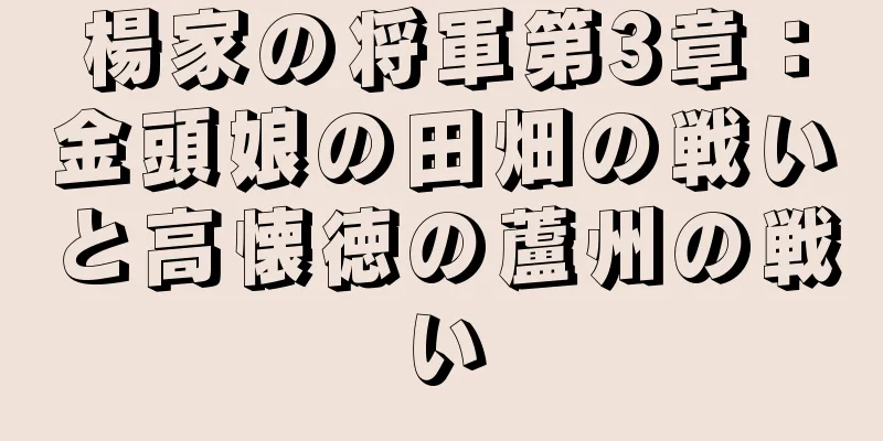 楊家の将軍第3章：金頭娘の田畑の戦いと高懐徳の蘆州の戦い