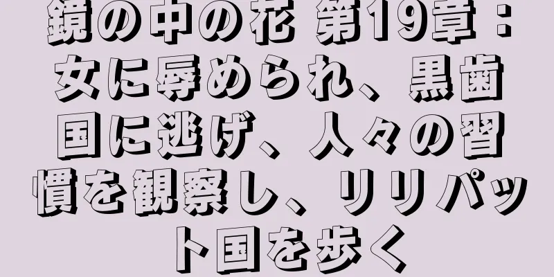 鏡の中の花 第19章：女に辱められ、黒歯国に逃げ、人々の習慣を観察し、リリパット国を歩く