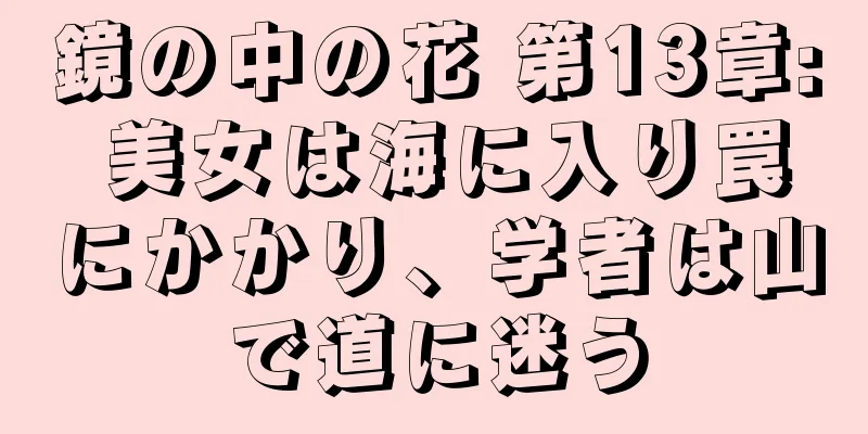 鏡の中の花 第13章: 美女は海に入り罠にかかり、学者は山で道に迷う