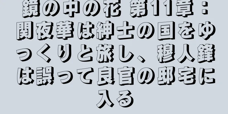 鏡の中の花 第11章：関夜華は紳士の国をゆっくりと旅し、穆人鋒は誤って良官の邸宅に入る