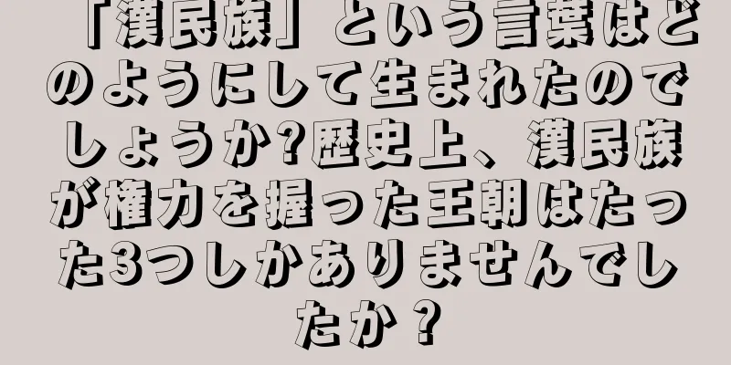 「漢民族」という言葉はどのようにして生まれたのでしょうか?歴史上、漢民族が権力を握った王朝はたった3つしかありませんでしたか？