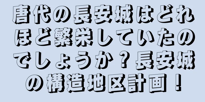 唐代の長安城はどれほど繁栄していたのでしょうか？長安城の構造地区計画！