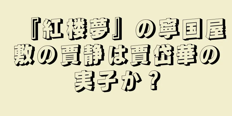 『紅楼夢』の寧国屋敷の賈静は賈岱華の実子か？
