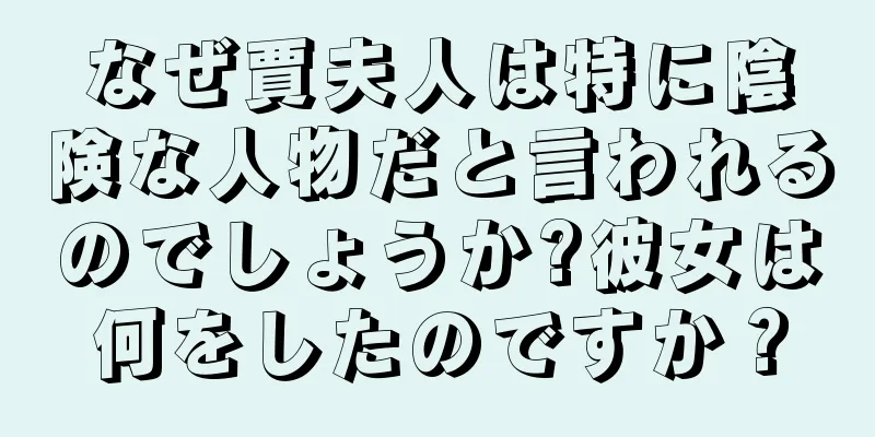 なぜ賈夫人は特に陰険な人物だと言われるのでしょうか?彼女は何をしたのですか？
