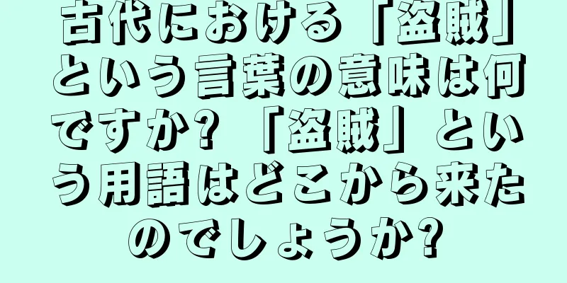 古代における「盗賊」という言葉の意味は何ですか? 「盗賊」という用語はどこから来たのでしょうか?