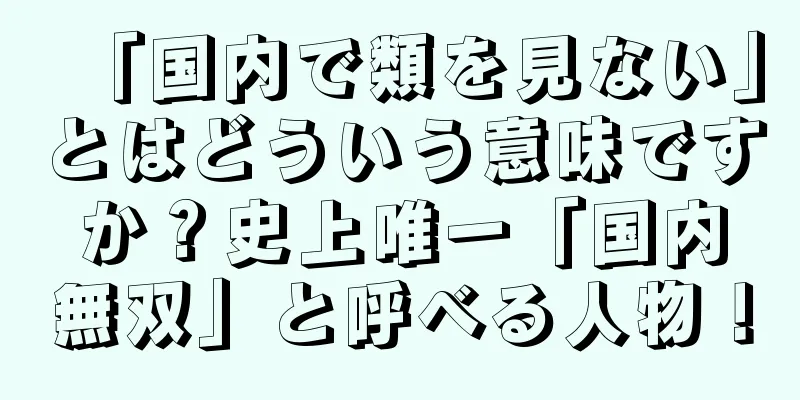「国内で類を見ない」とはどういう意味ですか？史上唯一「国内無双」と呼べる人物！