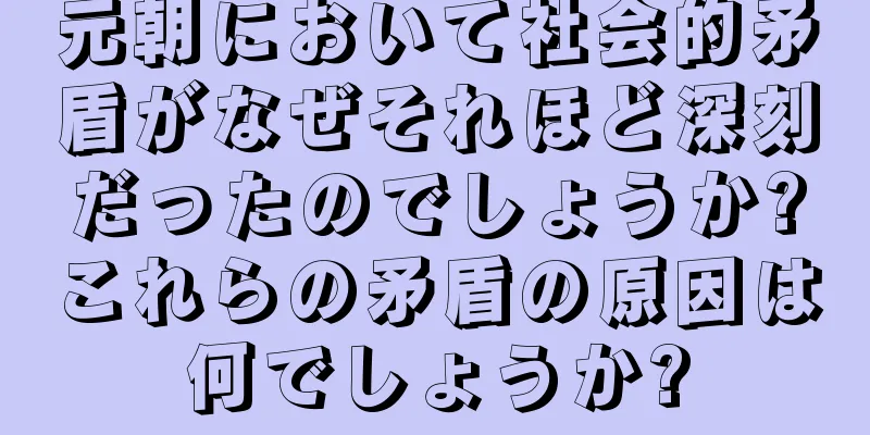 元朝において社会的矛盾がなぜそれほど深刻だったのでしょうか?これらの矛盾の原因は何でしょうか?