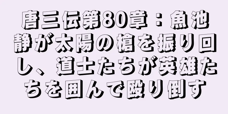 唐三伝第80章：魚池静が太陽の槍を振り回し、道士たちが英雄たちを囲んで殴り倒す