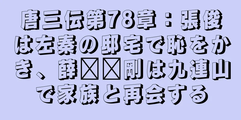 唐三伝第78章：張俊は左秦の邸宅で恥をかき、薛​​剛は九連山で家族と再会する