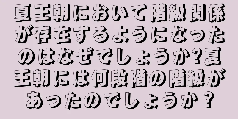 夏王朝において階級関係が存在するようになったのはなぜでしょうか?夏王朝には何段階の階級があったのでしょうか？