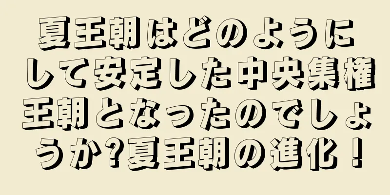 夏王朝はどのようにして安定した中央集権王朝となったのでしょうか?夏王朝の進化！