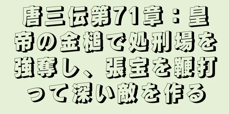 唐三伝第71章：皇帝の金槌で処刑場を強奪し、張宝を鞭打って深い敵を作る