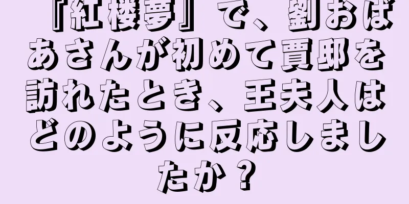 『紅楼夢』で、劉おばあさんが初めて賈邸を訪れたとき、王夫人はどのように反応しましたか？