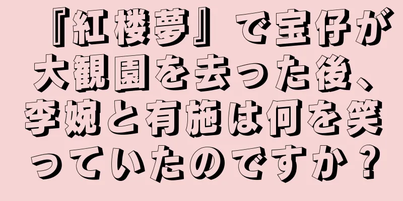 『紅楼夢』で宝仔が大観園を去った後、李婉と有施は何を笑っていたのですか？