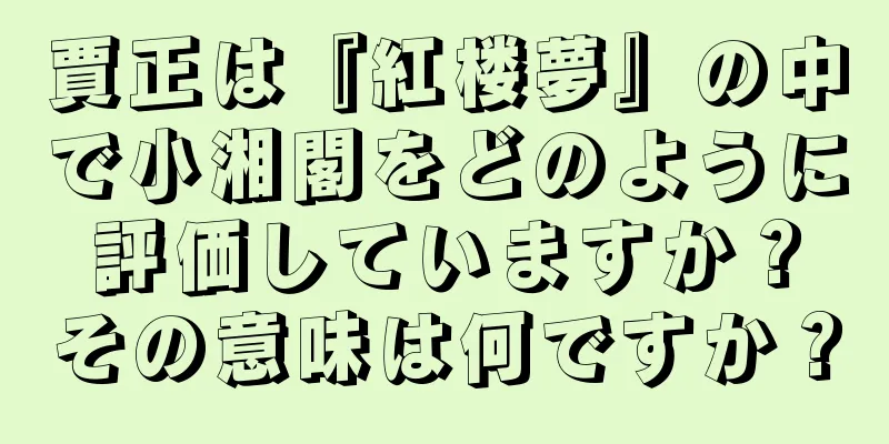 賈正は『紅楼夢』の中で小湘閣をどのように評価していますか？その意味は何ですか？