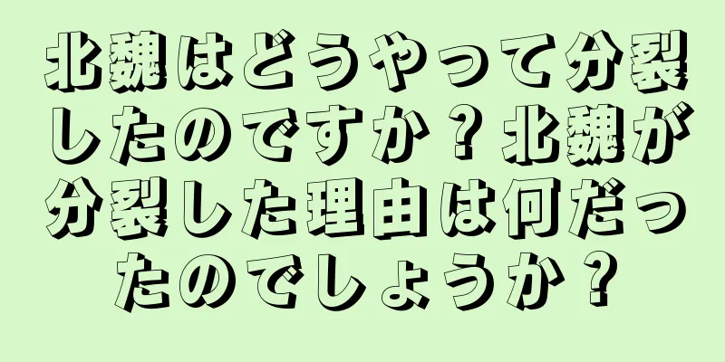 北魏はどうやって分裂したのですか？北魏が分裂した理由は何だったのでしょうか？