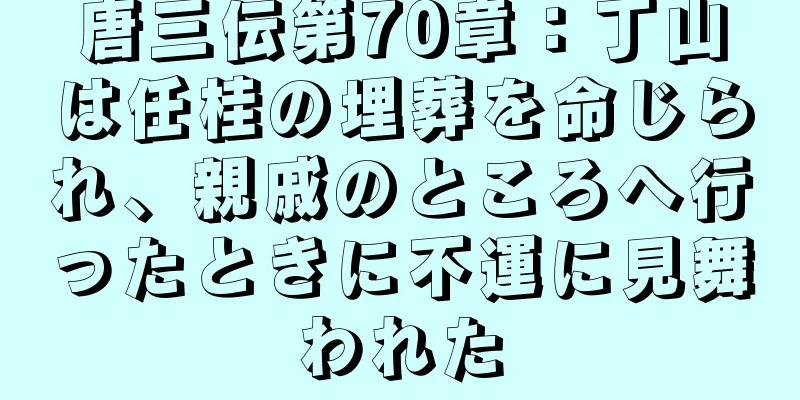 唐三伝第70章：丁山は任桂の埋葬を命じられ、親戚のところへ行ったときに不運に見舞われた