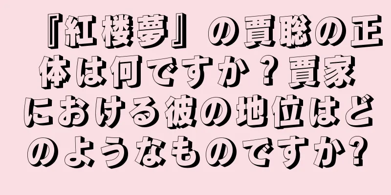 『紅楼夢』の賈聡の正体は何ですか？賈家における彼の地位はどのようなものですか?