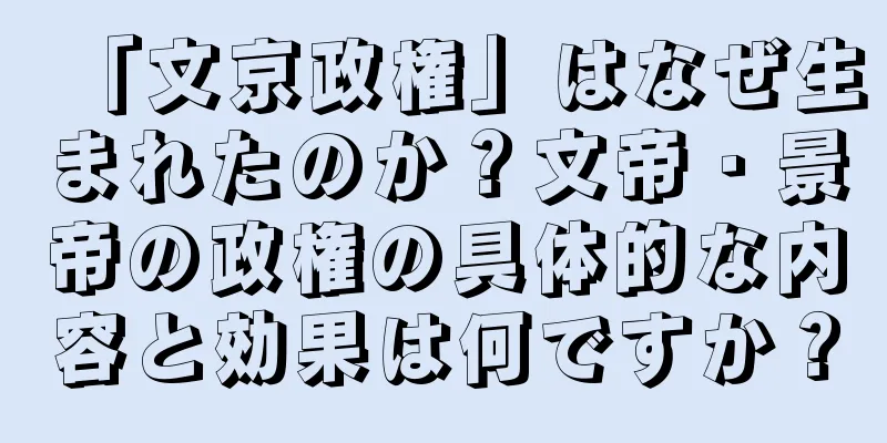 「文京政権」はなぜ生まれたのか？文帝・景帝の政権の具体的な内容と効果は何ですか？
