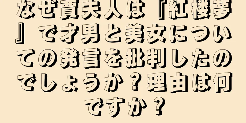 なぜ賈夫人は『紅楼夢』で才男と美女についての発言を批判したのでしょうか？理由は何ですか？