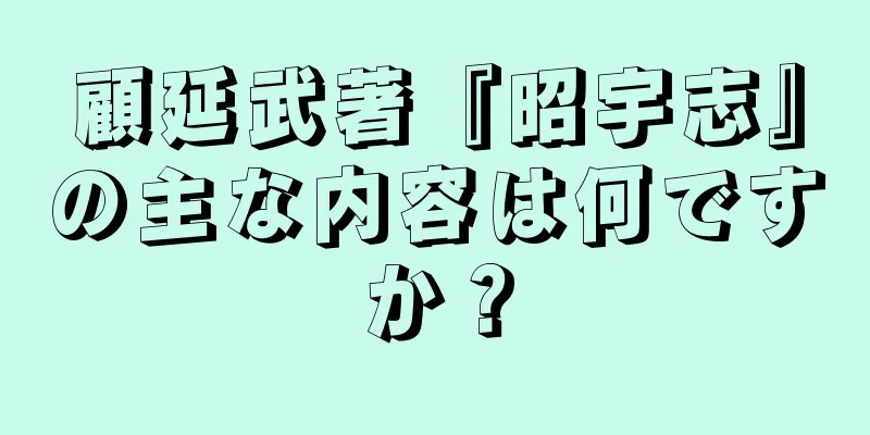 顧延武著『昭宇志』の主な内容は何ですか？