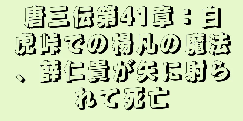 唐三伝第41章：白虎峠での楊凡の魔法、薛仁貴が矢に射られて死亡