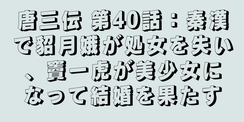 唐三伝 第40話：秦漢で貂月娥が処女を失い、竇一虎が美少女になって結婚を果たす