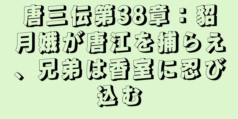 唐三伝第38章：貂月娥が唐江を捕らえ、兄弟は香室に忍び込む