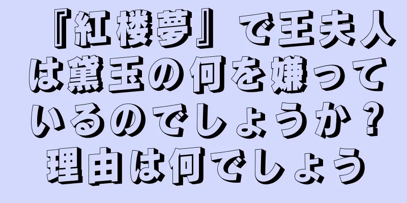 『紅楼夢』で王夫人は黛玉の何を嫌っているのでしょうか？理由は何でしょう