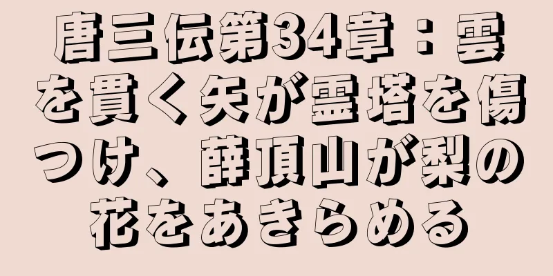 唐三伝第34章：雲を貫く矢が霊塔を傷つけ、薛頂山が梨の花をあきらめる
