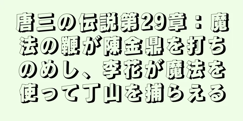 唐三の伝説第29章：魔法の鞭が陳金鼎を打ちのめし、李花が魔法を使って丁山を捕らえる