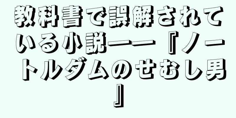 教科書で誤解されている小説――『ノートルダムのせむし男』